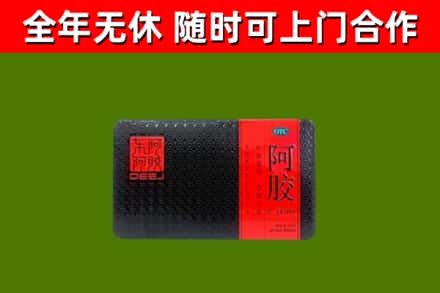 前进区回收阿胶