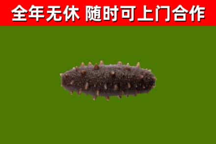前进区烟酒回收干海参.jpg